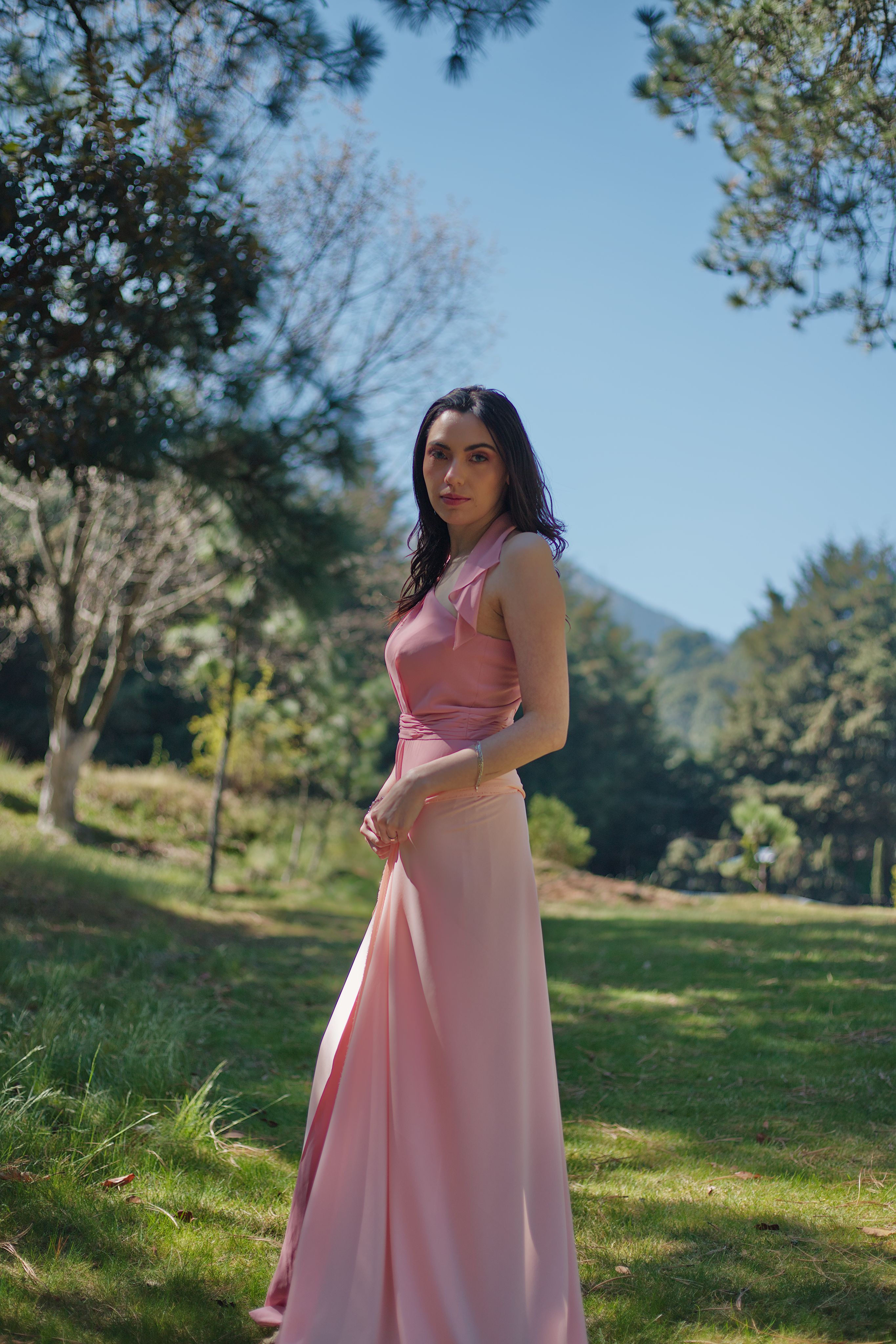 knee length dresses for ladies Rania Rosé Dress