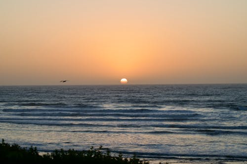 Sea Shore at Sunset