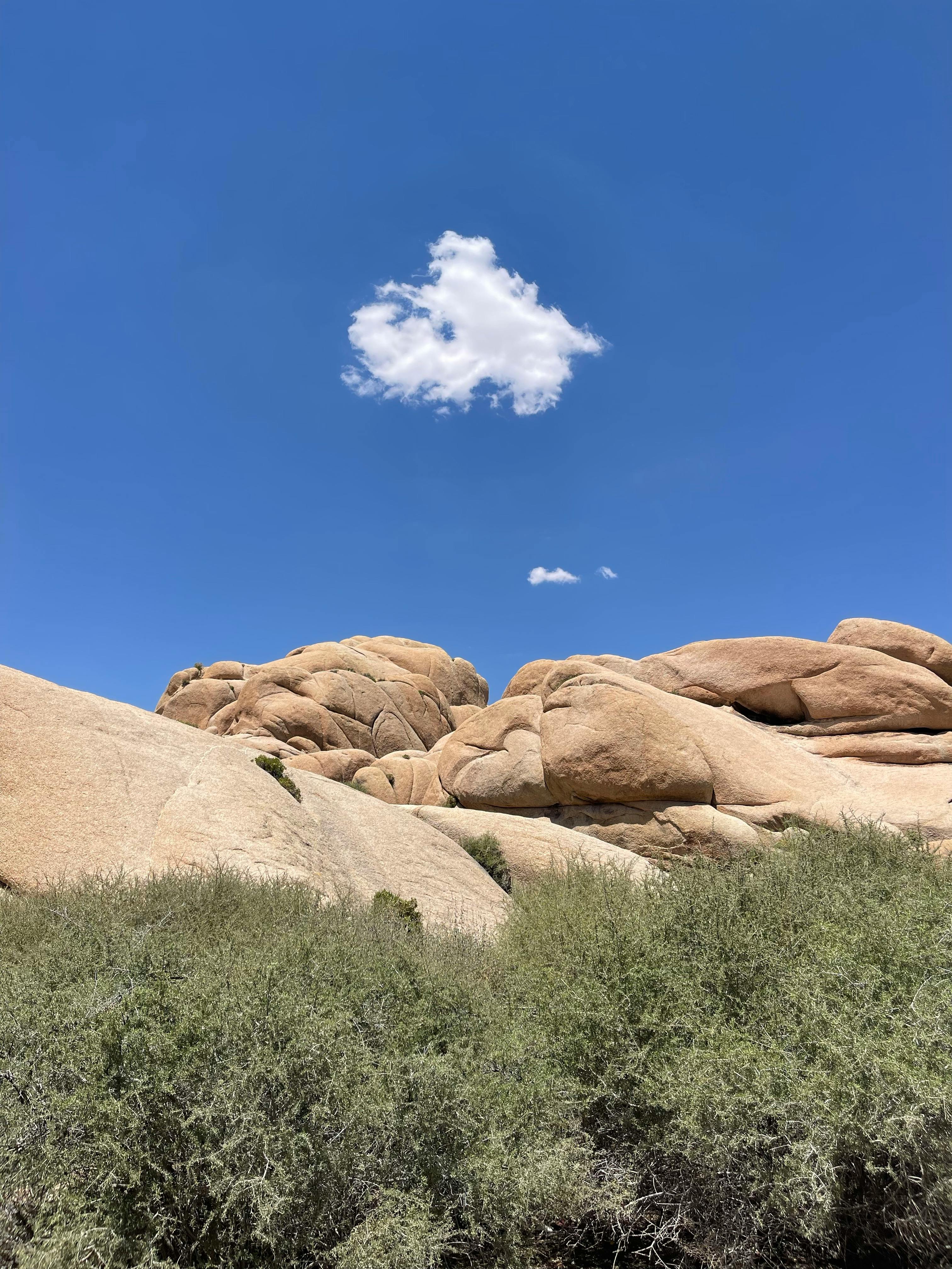 A solitary cloud drifts above rugged rocks and sparse bushes under a clear blue sky.