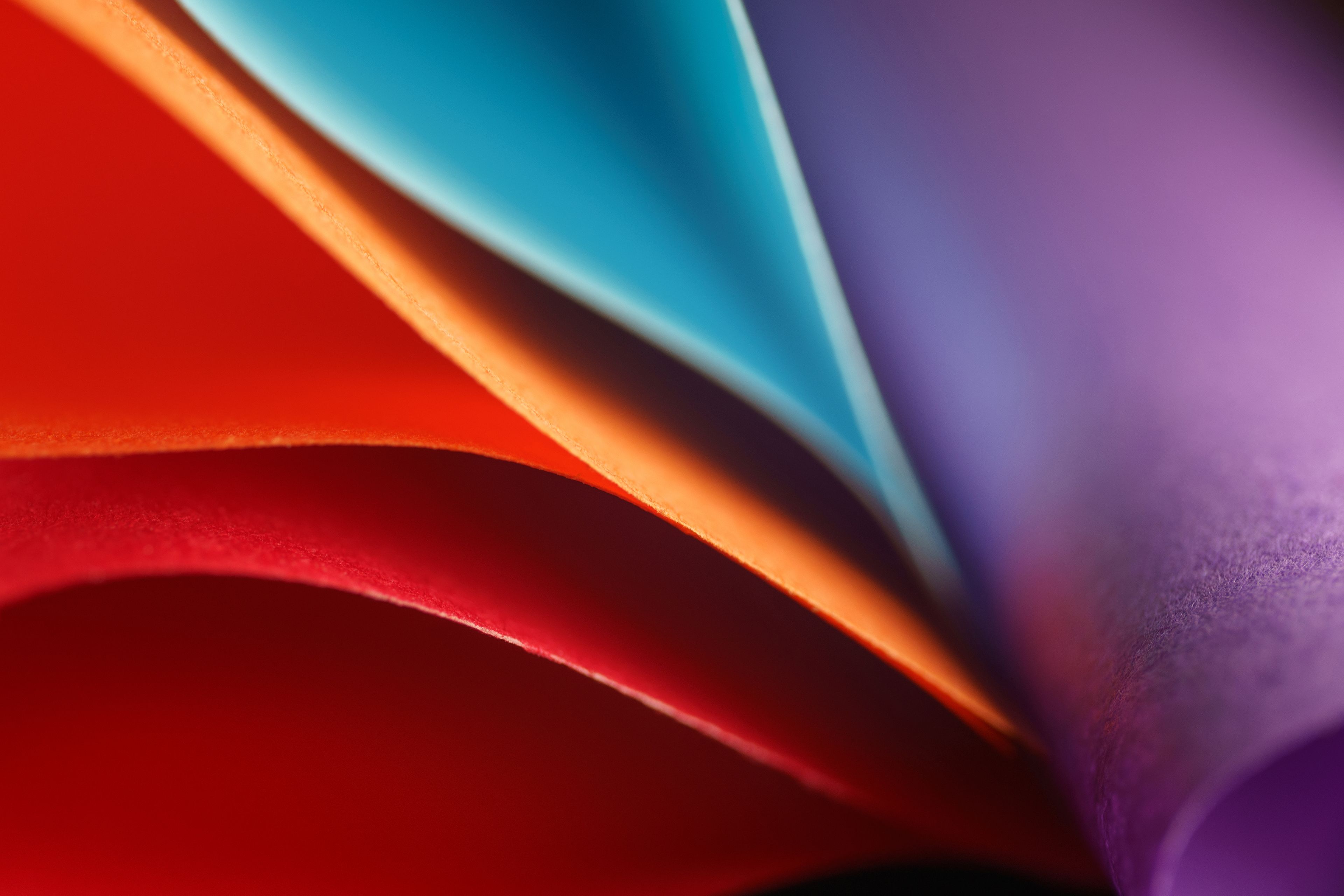 Fotomural Close-up de hojas de color vibrante enrolladas que crean un patrón abstracto artístico.