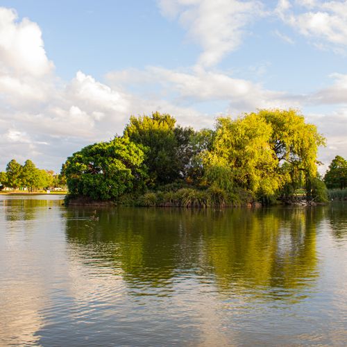Free Serene landscape with lush trees reflected in a tranquil lake under a bright sky. Stock Photo