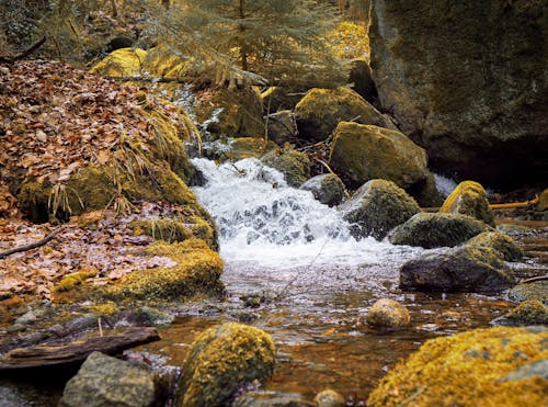 Immagine gratuita di acqua corrente, autunno, cadere