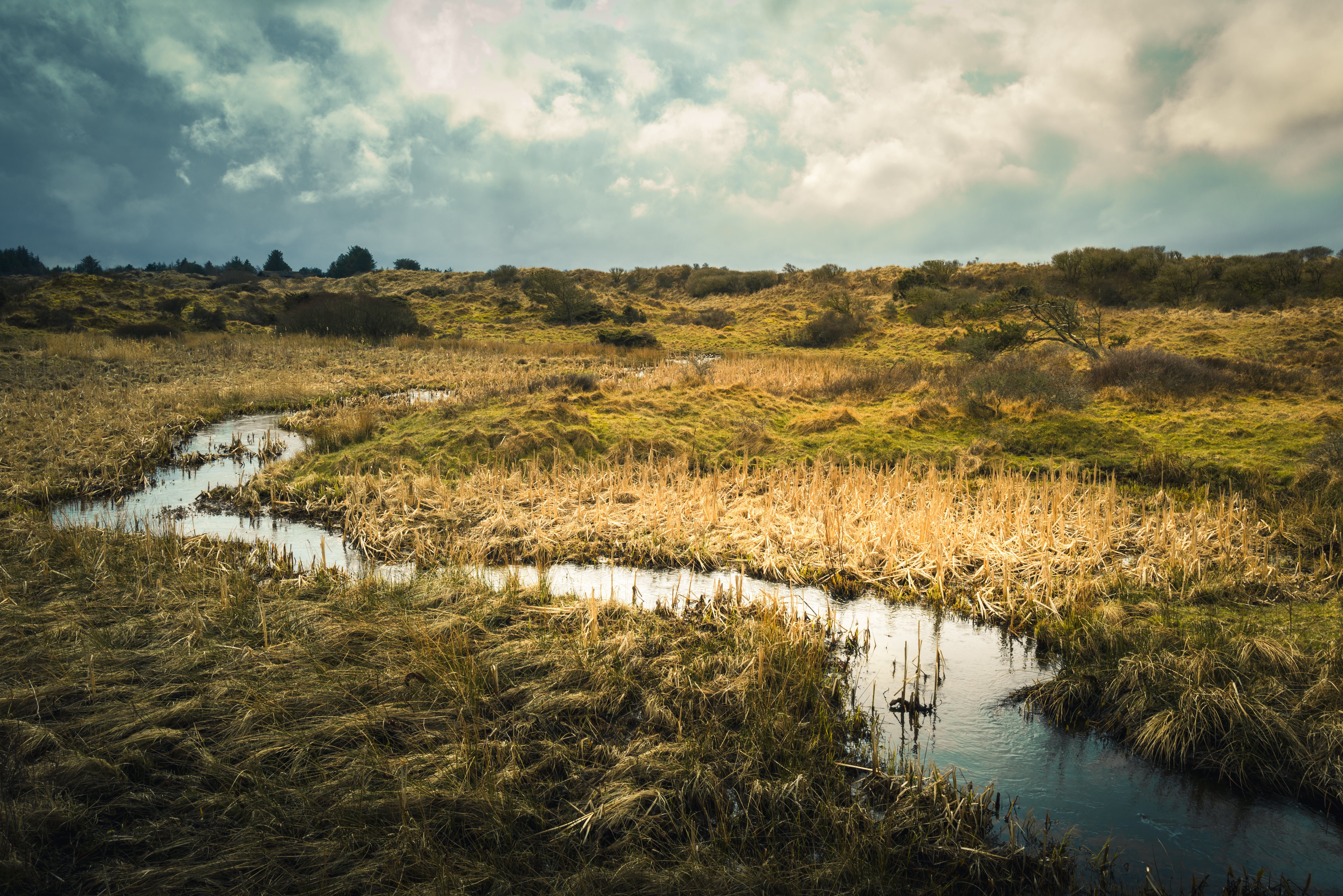 5 Day Spirit Woman's Yoga Retreat in Cumbria, Lake District, U 2