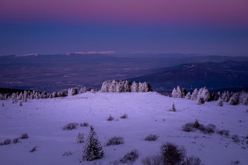 Бесплатное стоковое фото с горы, деревья, зима