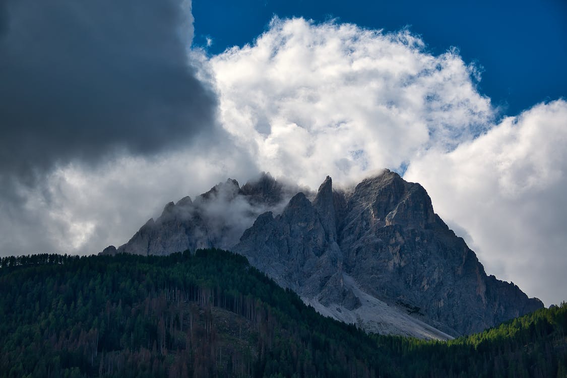 Forest and Mountain under Cloud 