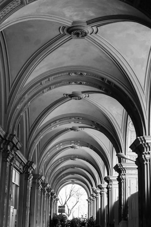 Foto stok gratis arsitektur klasik, barisan tiang, hitam & putih