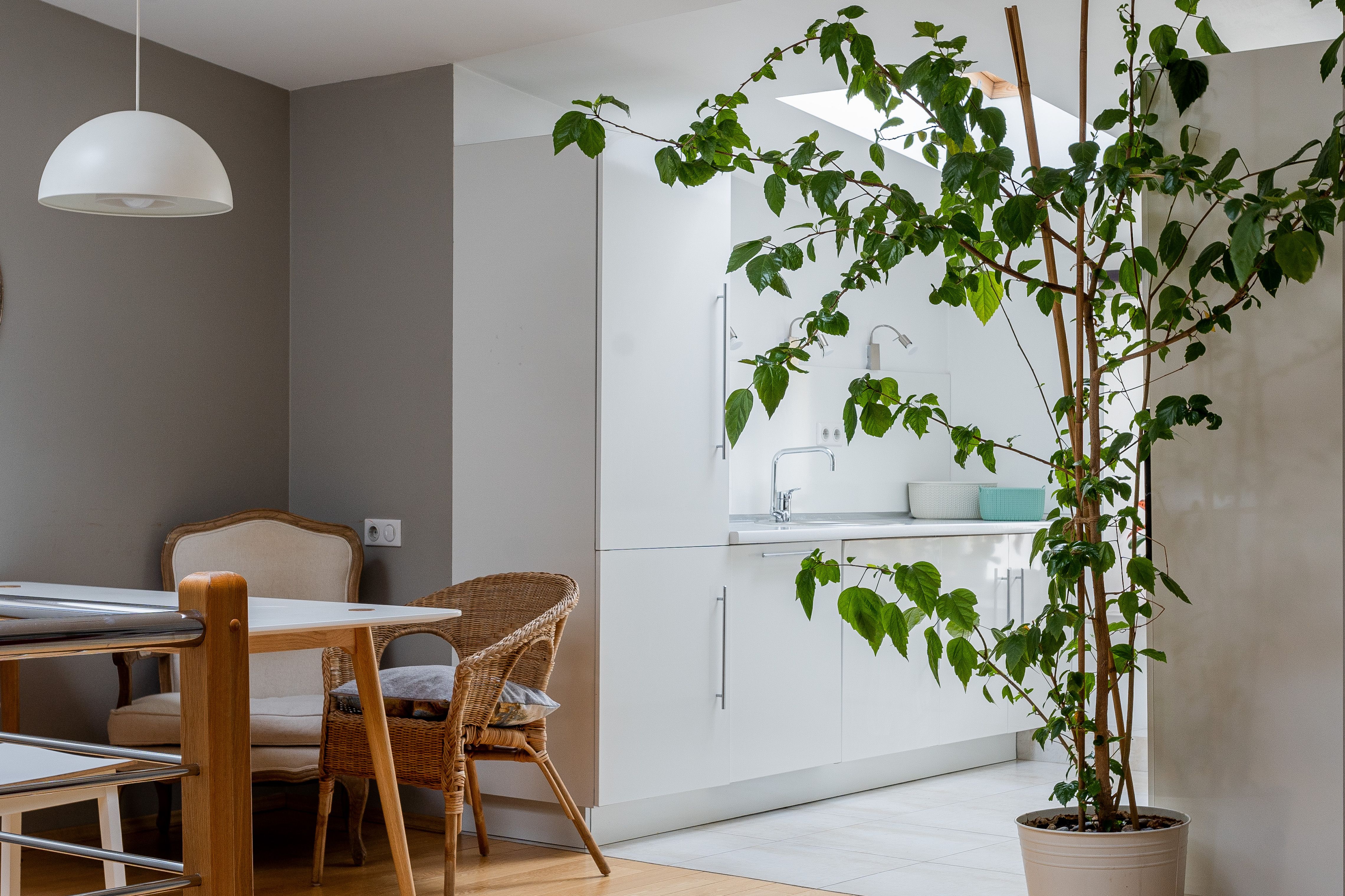 Space-saving plant stand in a micro apartment