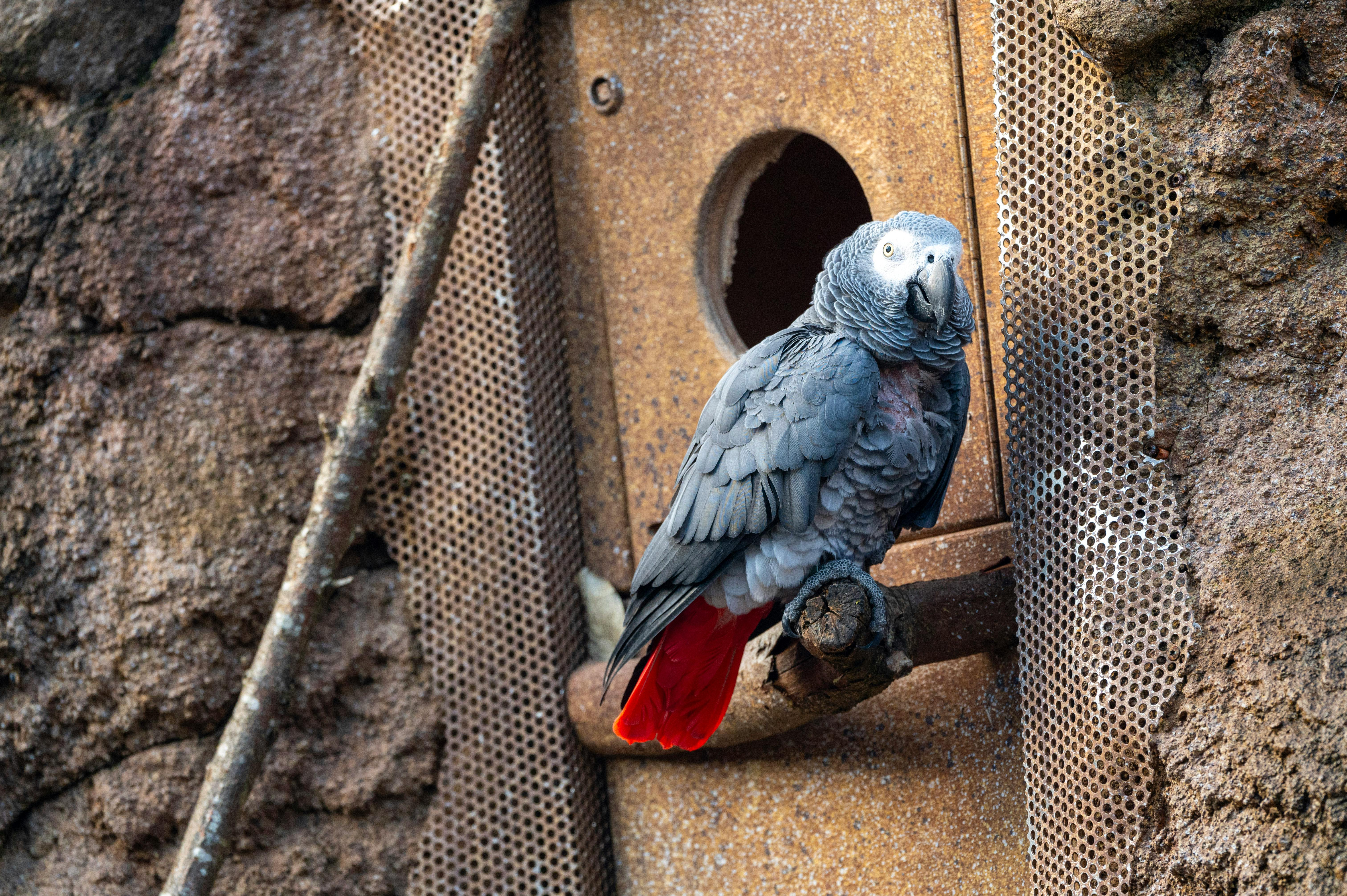 Psicoacústica en Producción: Fundamentos y Aplicaciones para la Percepción Auditiva Moderna