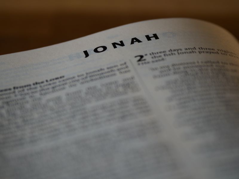 Hebrew Bible Photos, Download The BEST Free Hebrew Bible Stock Photos ...