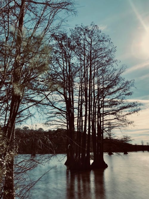 Kostenloses Stock Foto zu blauer see, flüsternder himmel, morgenhimmel