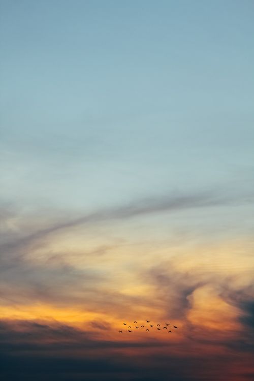 Free A tranquil sunset sky with a distant flock of birds flying across colored clouds. Stock Photo