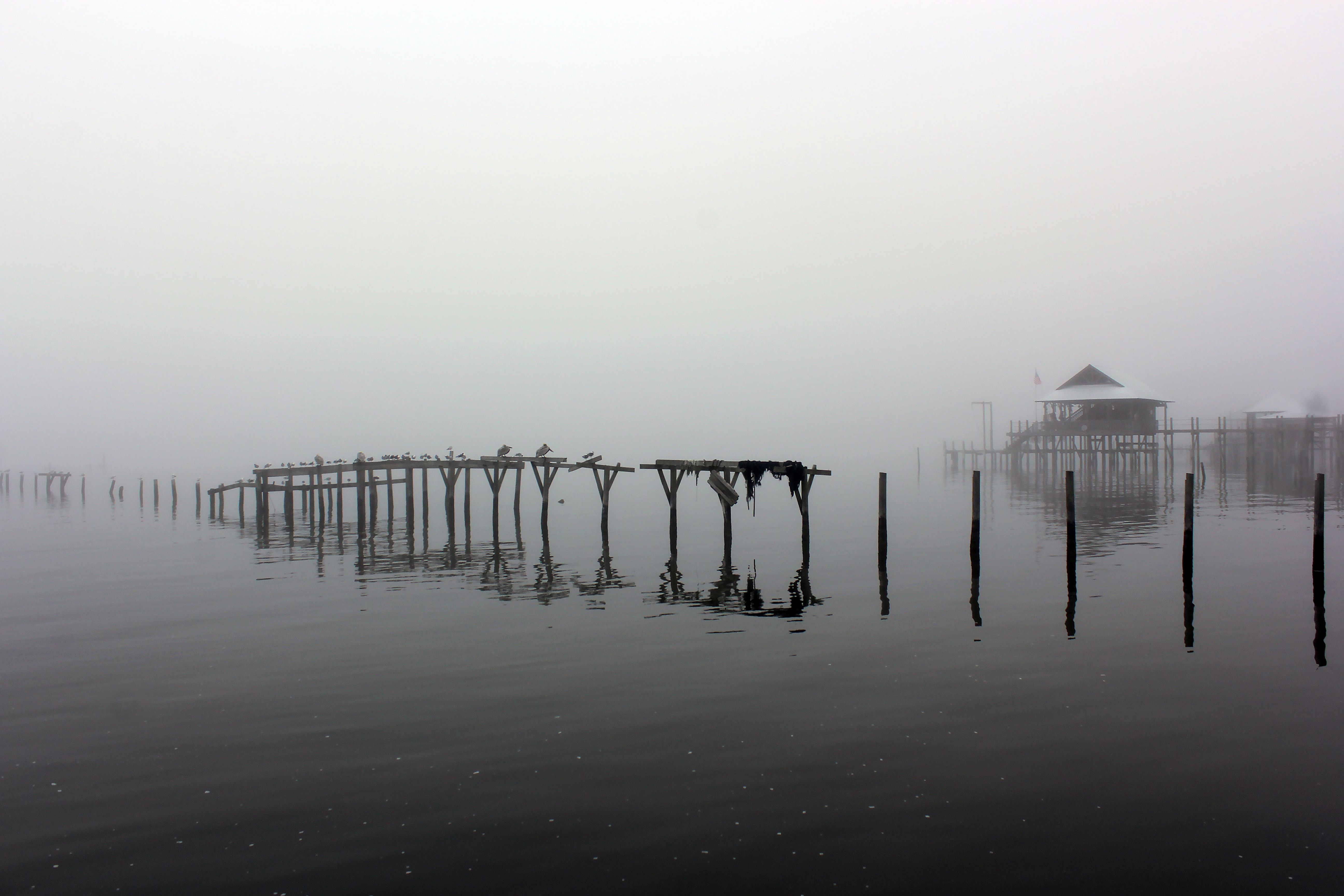Fog-covered pier and calm waters create an eerie atmosphere in Fairhope, Alabama.