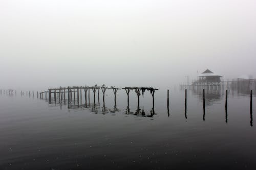Photos gratuites de baie, brouillard, couvert