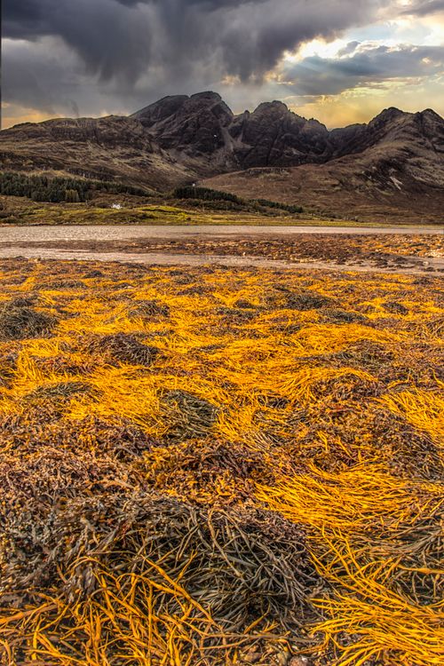 Free stormy Skye Stock Photo