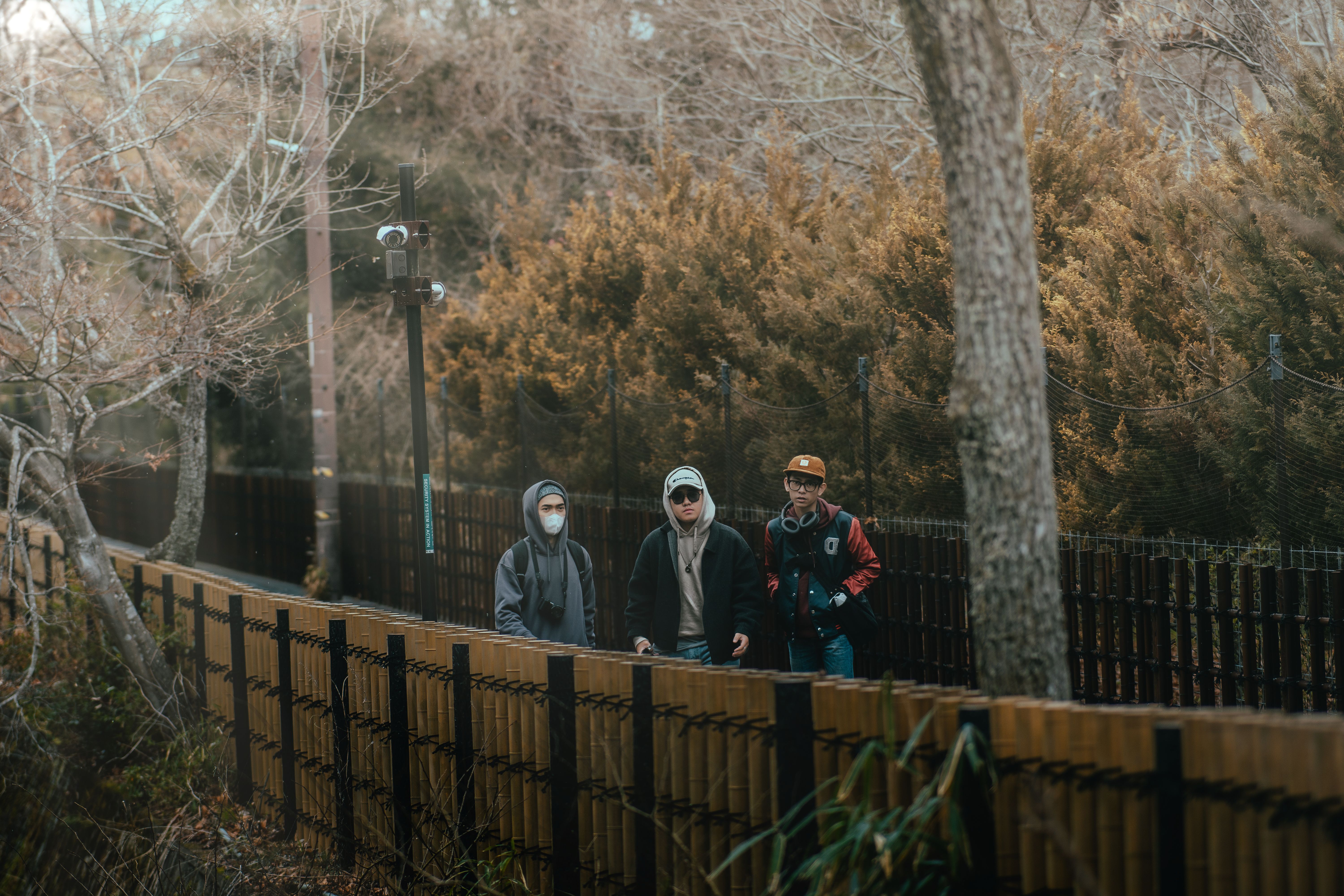 3人の友達が、フェンスと木々に囲まれた素朴な公園の小道を涼しい日に散歩しています。