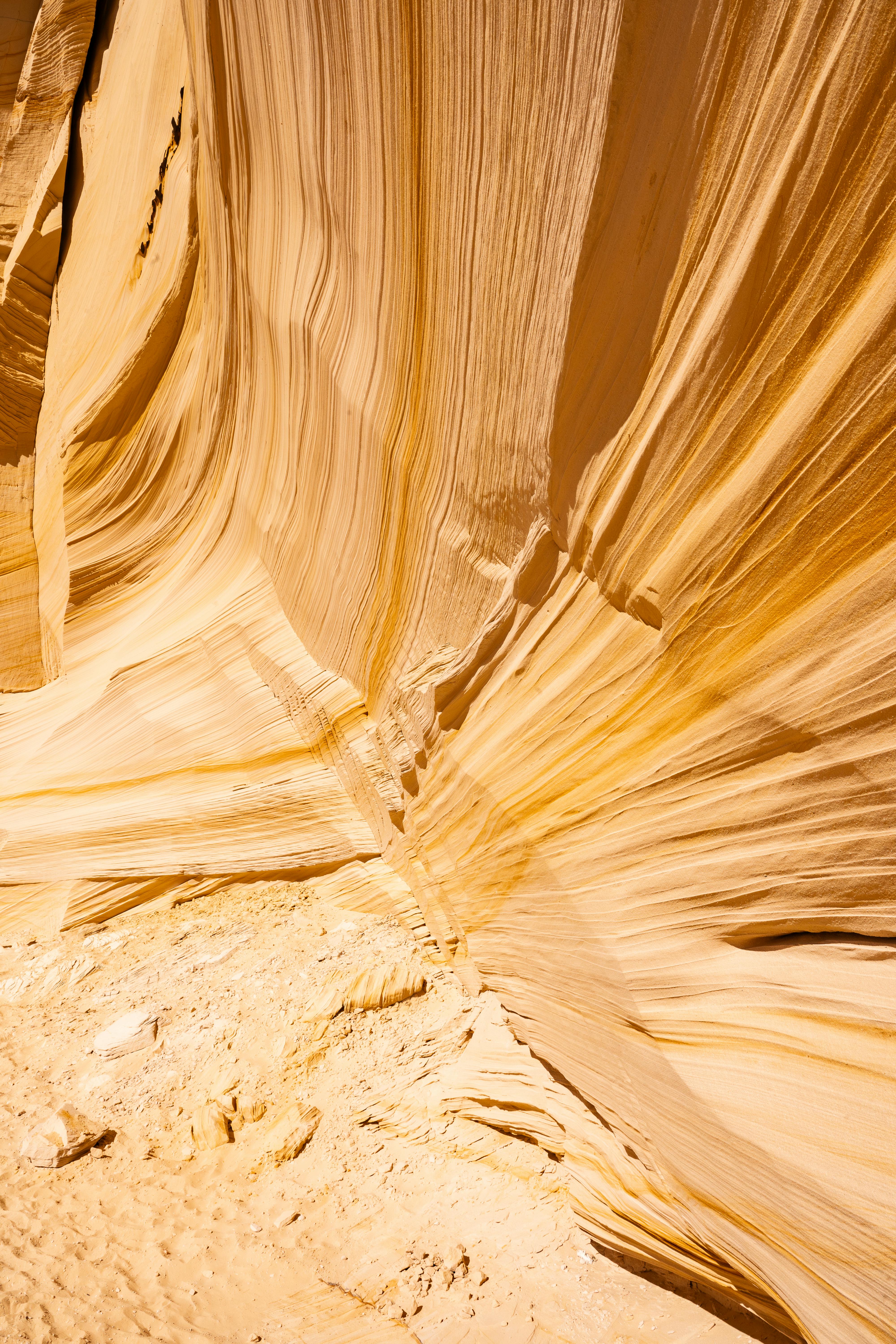 Close-up of eroded sandstone in a desert showing unique textures and warm tones.