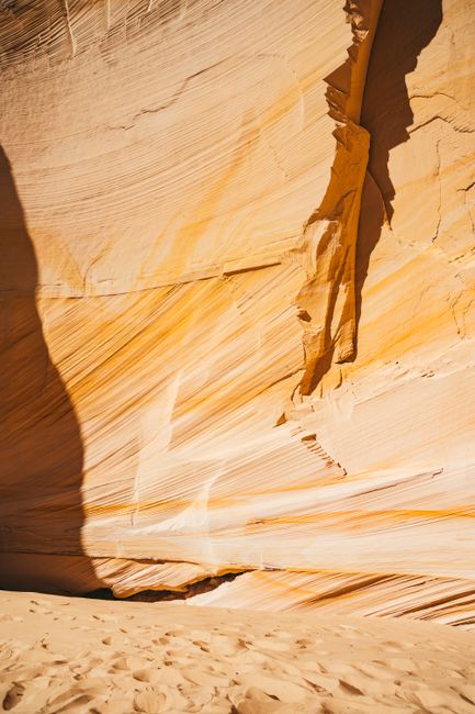 Eroded sandstone cliff with unique textures and yellow hues in a desert setting.