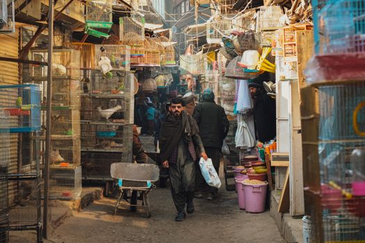 A vibrant scene of a crowded bird market in Kabul, showcasing birdcages and local life.
