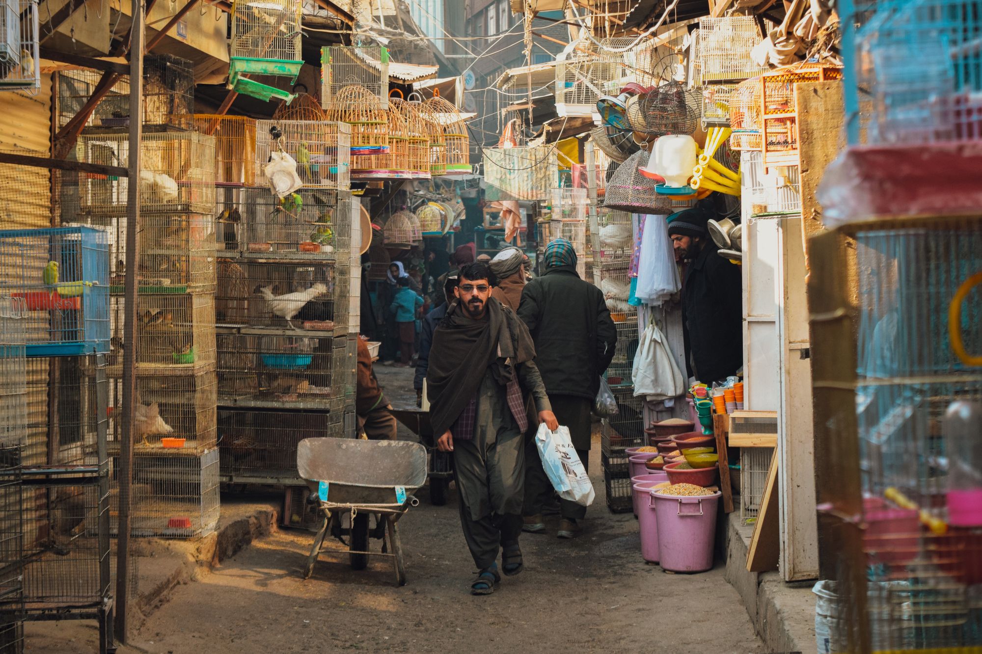 Kunduz