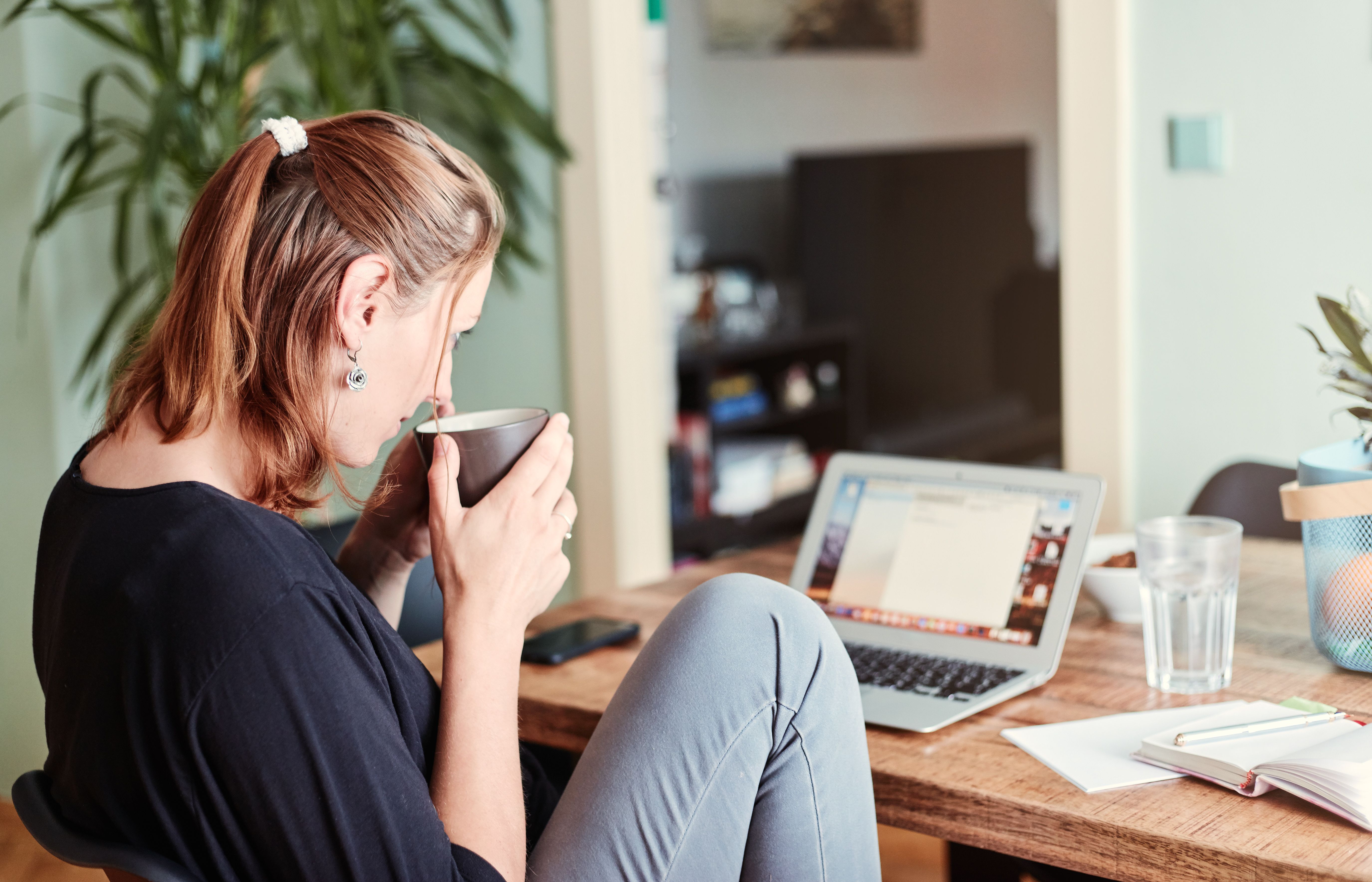Working From Home and Productivity: Insights From the 2025 Remote Work Study — Photo by Lucie Liz on Pexels
