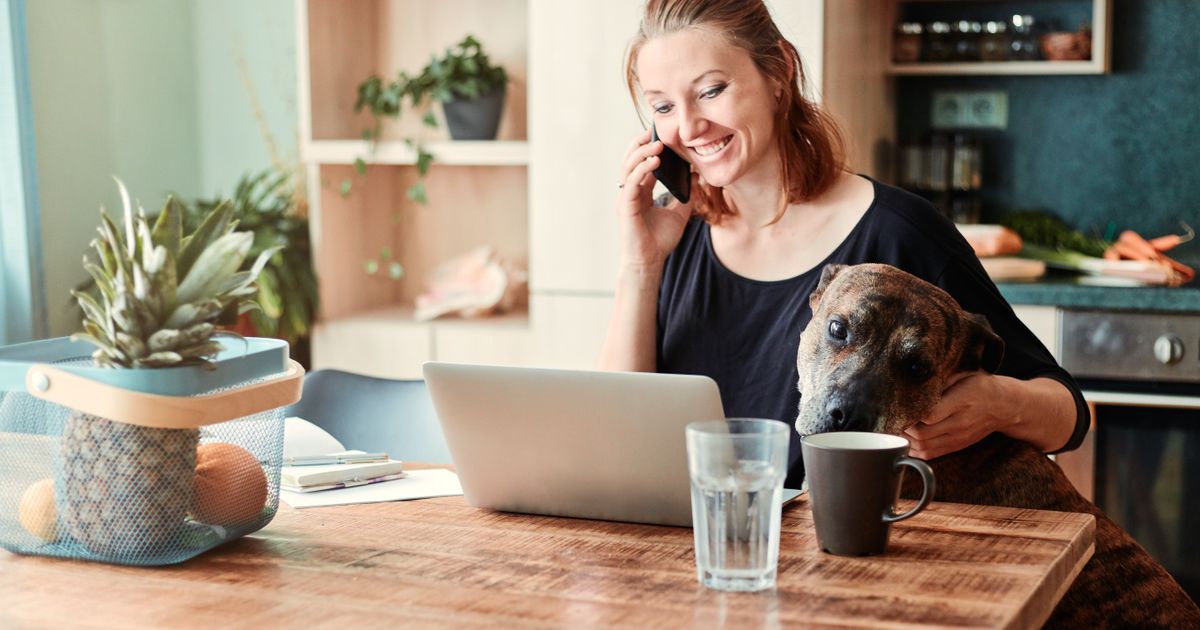 Automate Text-Message Follow-Up for Veterinary Clinics (2026)