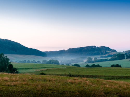 Free A Rolling Landscape at Dawn Stock Photo