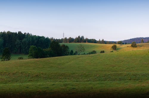 Free A Rural Landscape Stock Photo