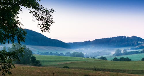 Scenic View of Green Hills and Trees in the Countryside 