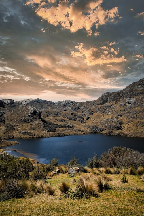 Lake in El Cajas National Park