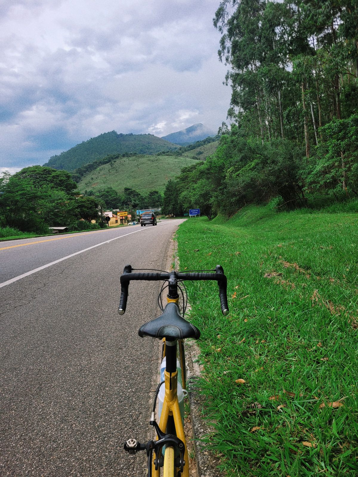 Road bicycle standing beside a quiet forest road