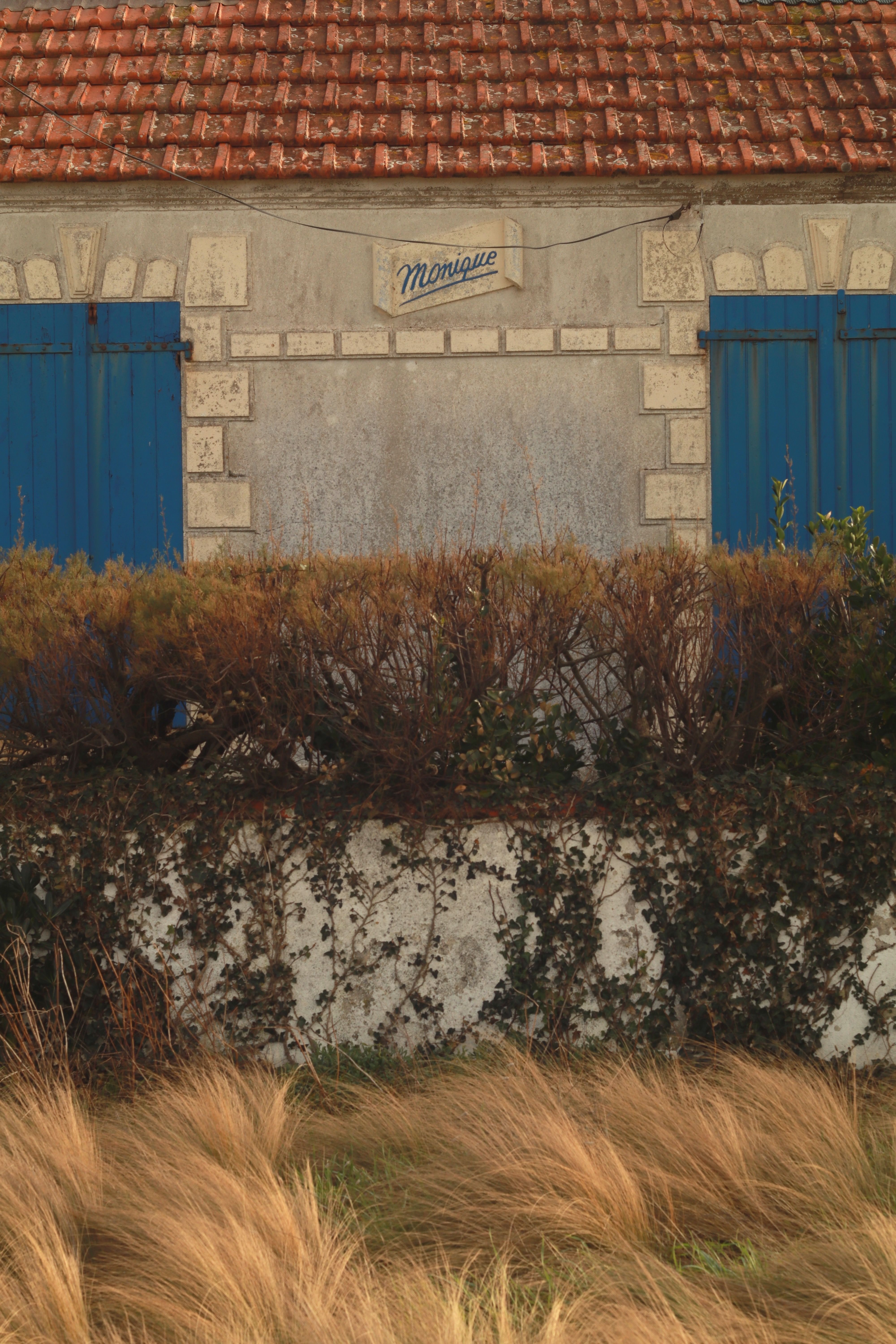 Rustic farmhouse with blue shutters and ivy, showcasing charming rural architecture in France.