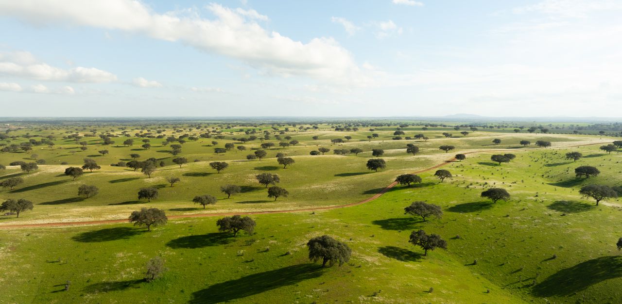 Alentejo