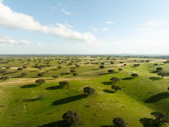 Alentejo Portugal