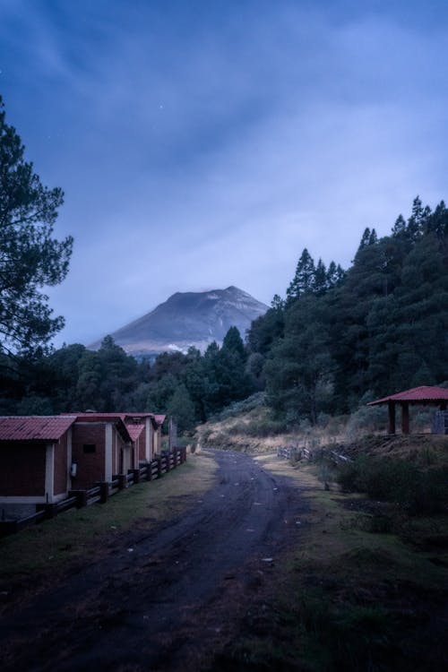 A Dirt Road between Trees and Buildings with View of a Mountain in Distance 