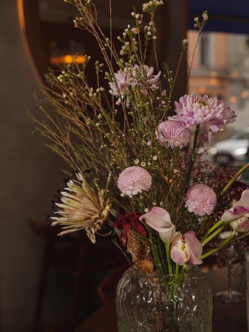 bereket, bitkiler, Çiçekler içeren Ücretsiz stok fotoğraf