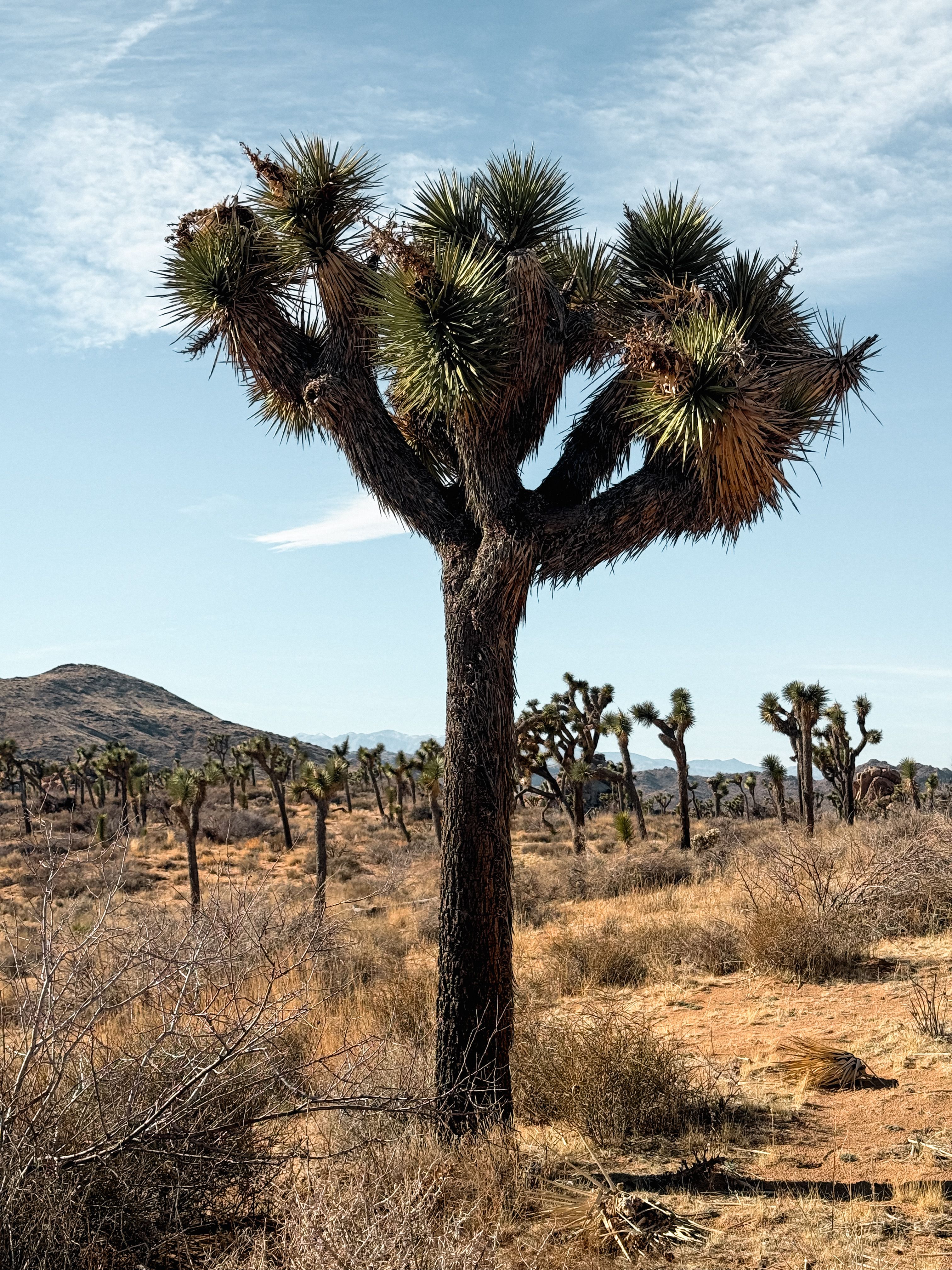 Foto de stock gratuita sobre árido, desierto, erosionado, estados ...