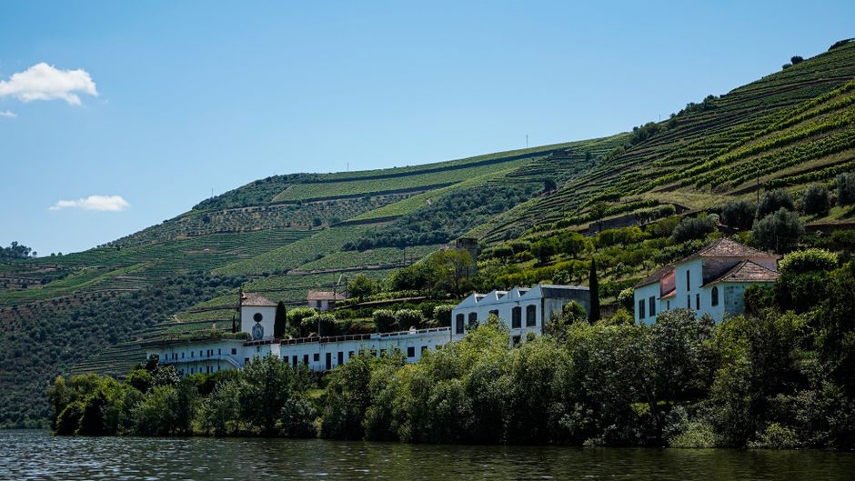 Lush vineyards and traditional architecture in the Douro Valley