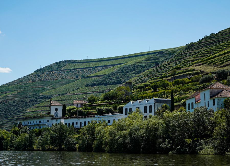 Captivating view of vineyards in the Douro Valley, Portugal, with lush green hills and traditional architecture.