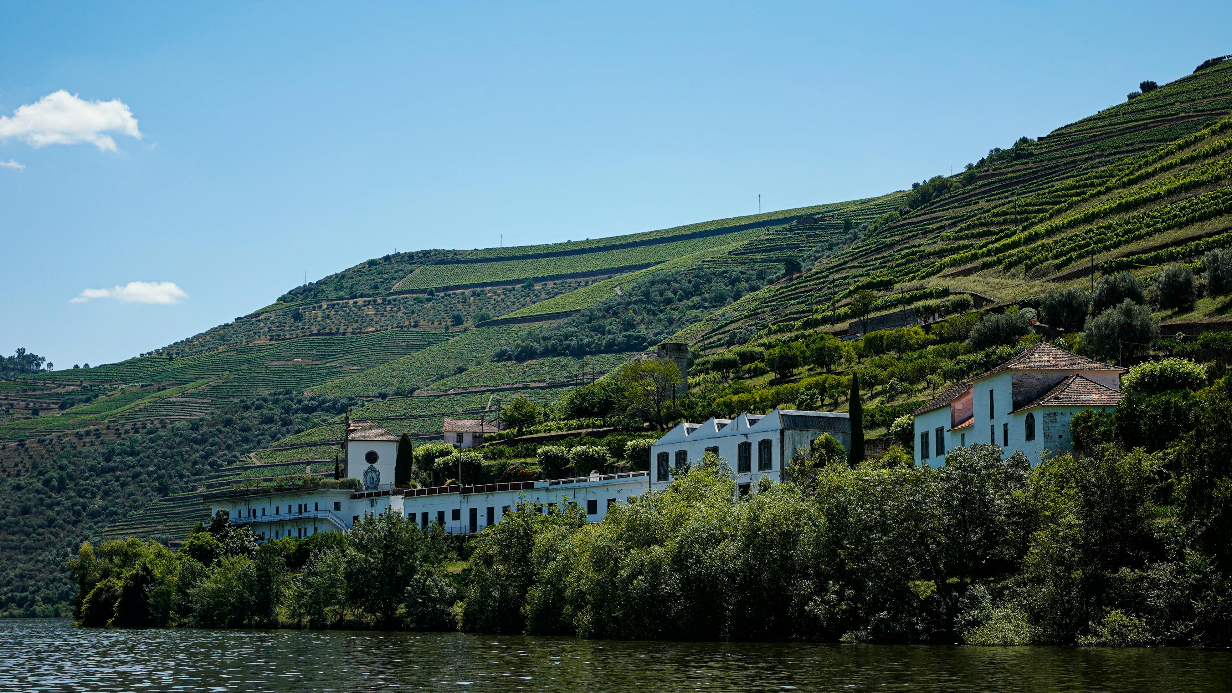 Free Captivating view of vineyards in the Douro Valley, Portugal, with lush green hills and traditional architecture. Stock Photo