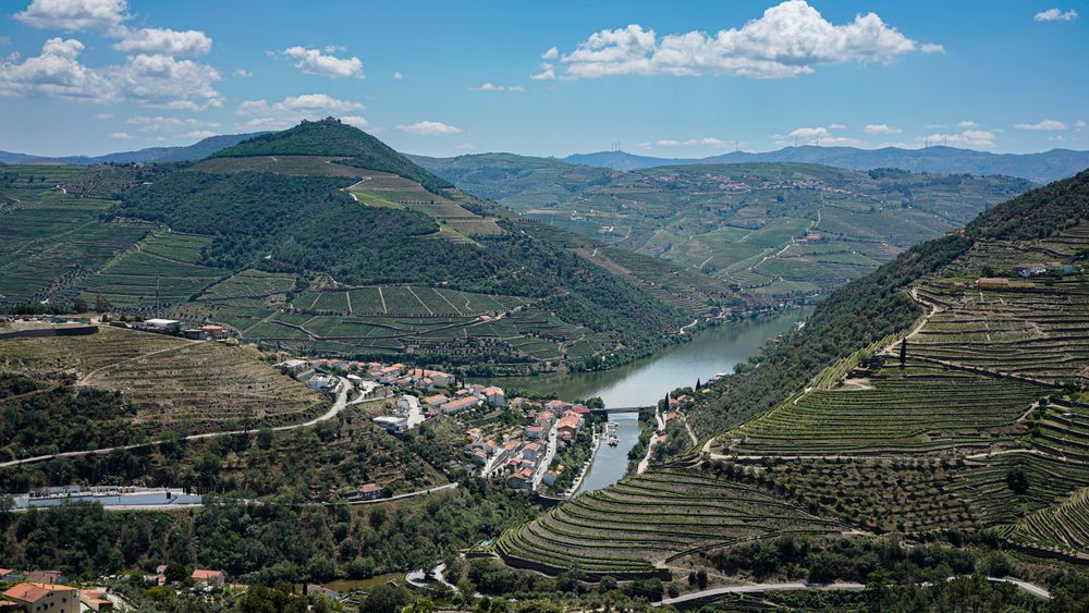 El Duero y sus viñedos — imagen 3
