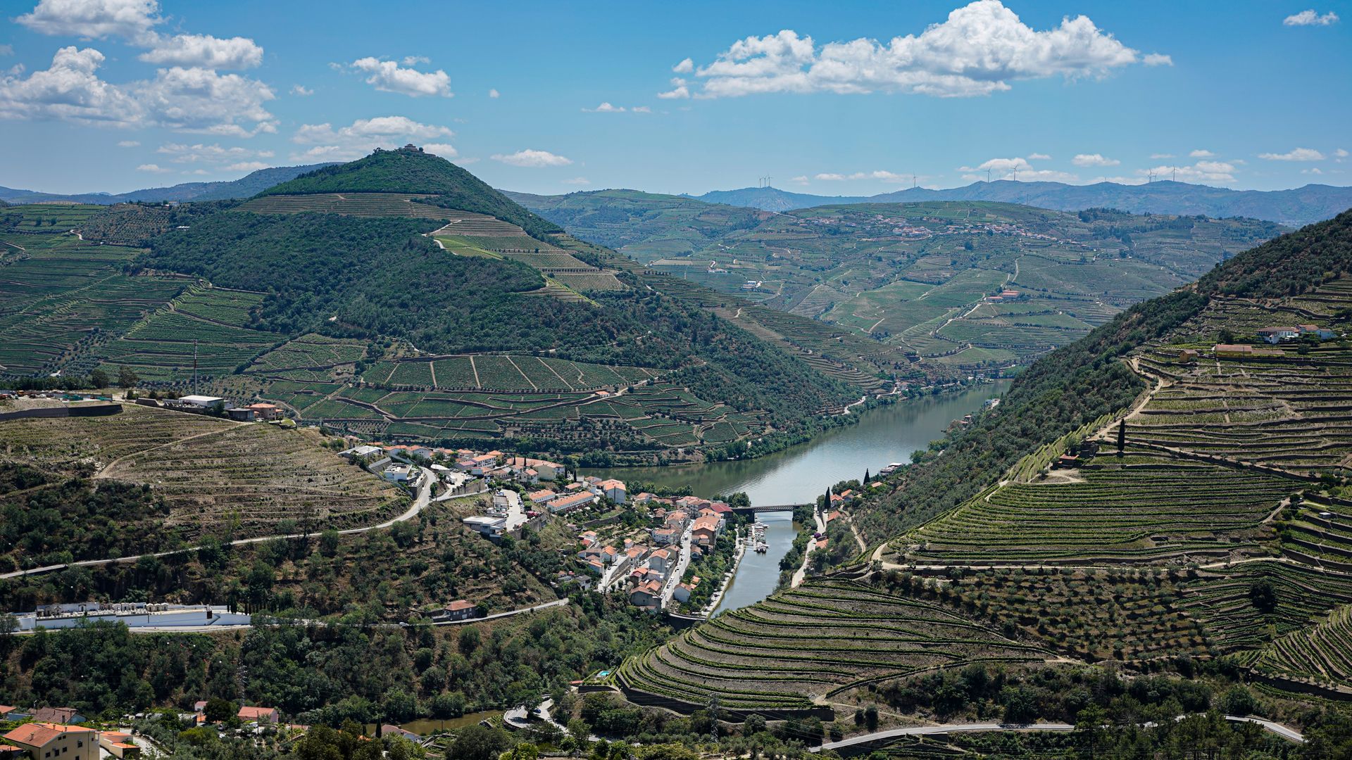 El Duero y sus viñedos