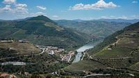 River valley vineyards — photo by Matheus De Moraes Gugelmim on Pexels