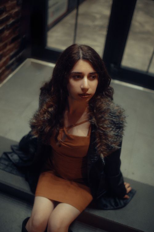 Free Fashionable woman in a brown dress and fur-collared jacket sitting indoors, captured in a high angle view. Stock Photo