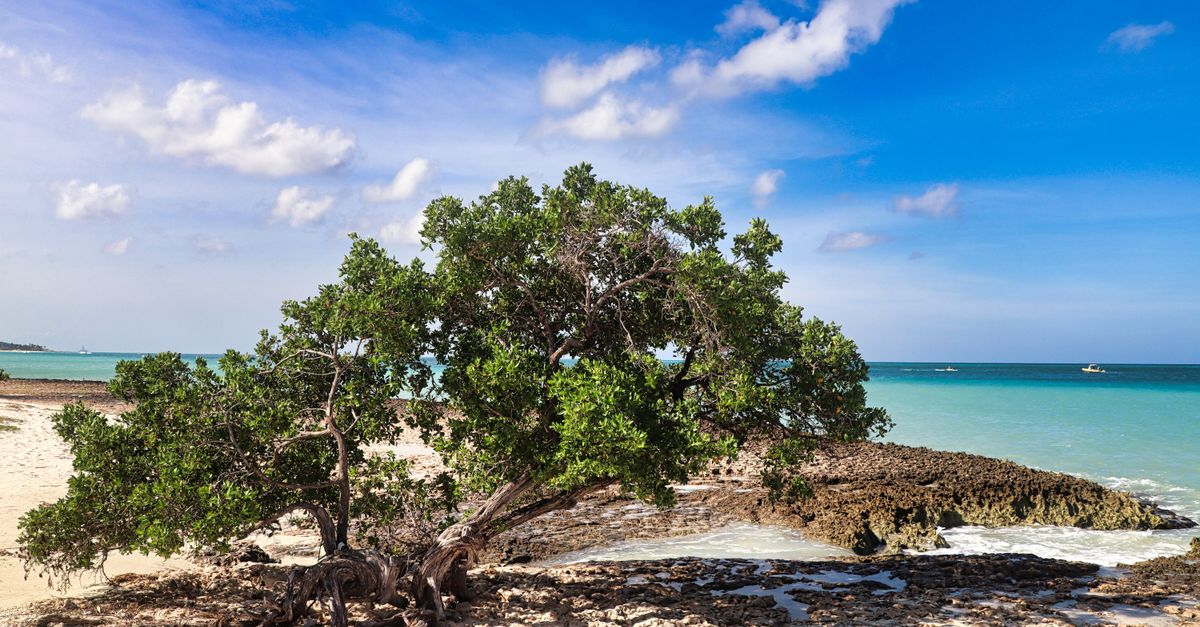 Barbados — Caribbean destination