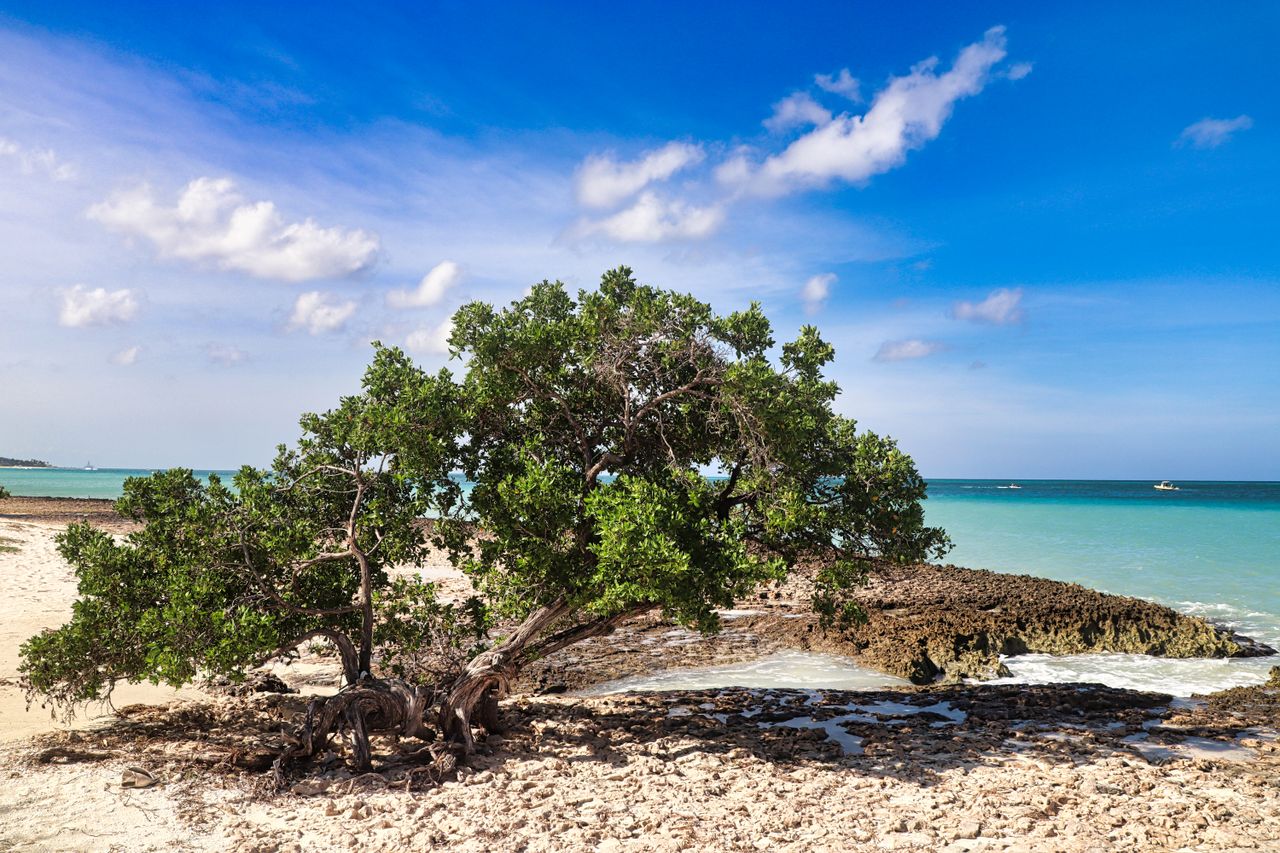 Oranjestad, Aruba