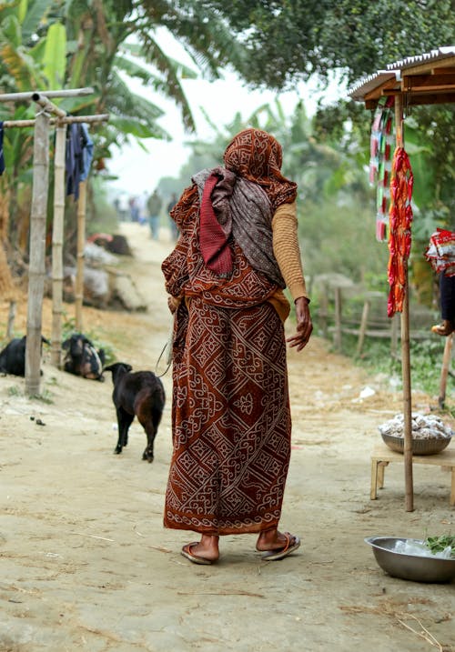 An old woman is crossing the village road with her goats on a winter morning