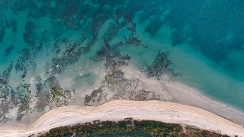 Drone Shot of a Coastline with Turquoise Water 