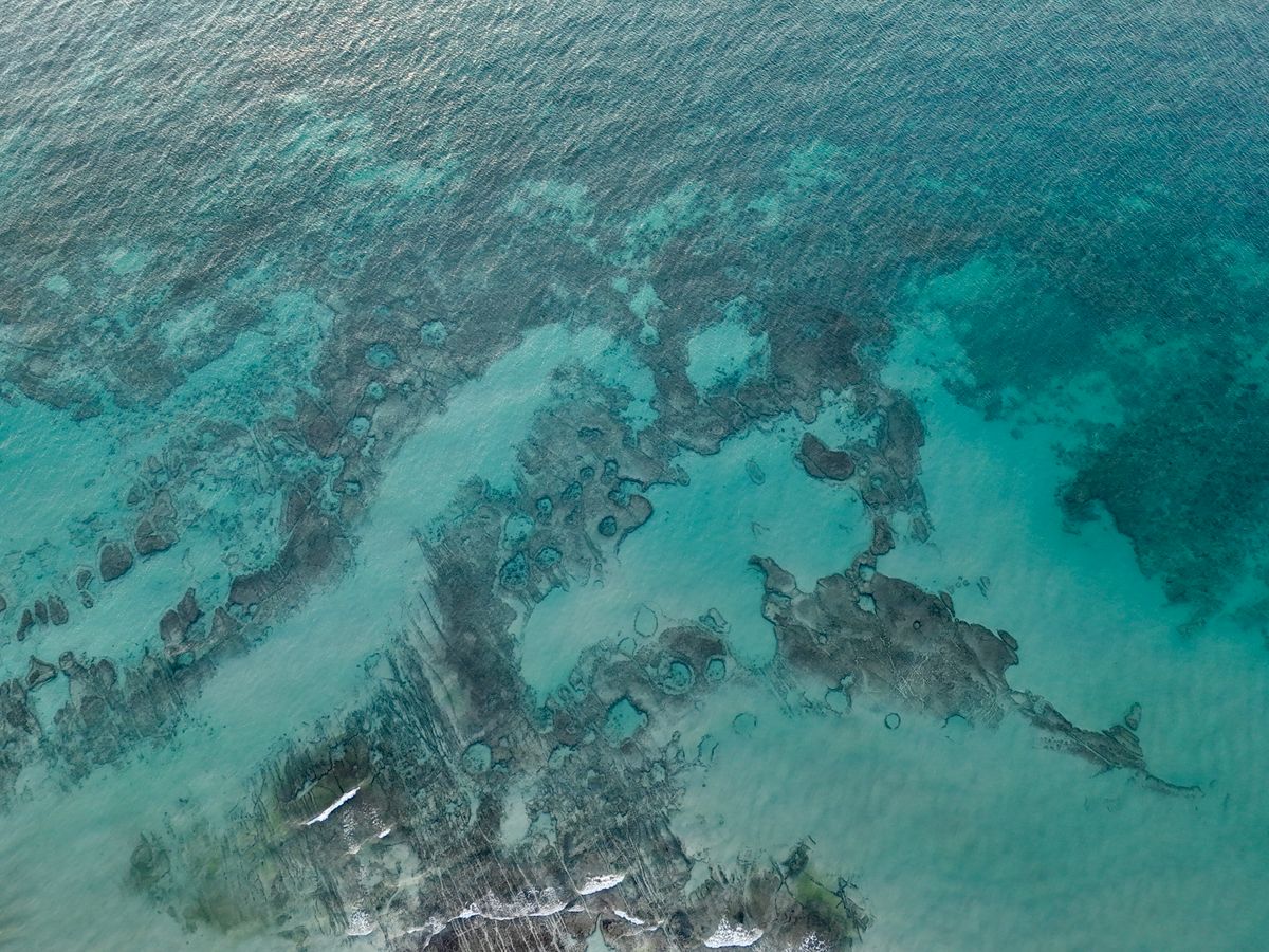 Caribbean coast aerial