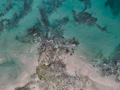 Aerial View of a Seashore 