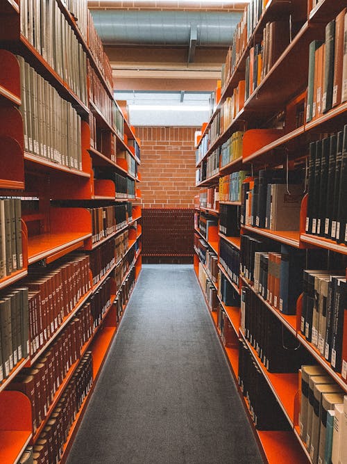 A long aisle with bookshelves in it